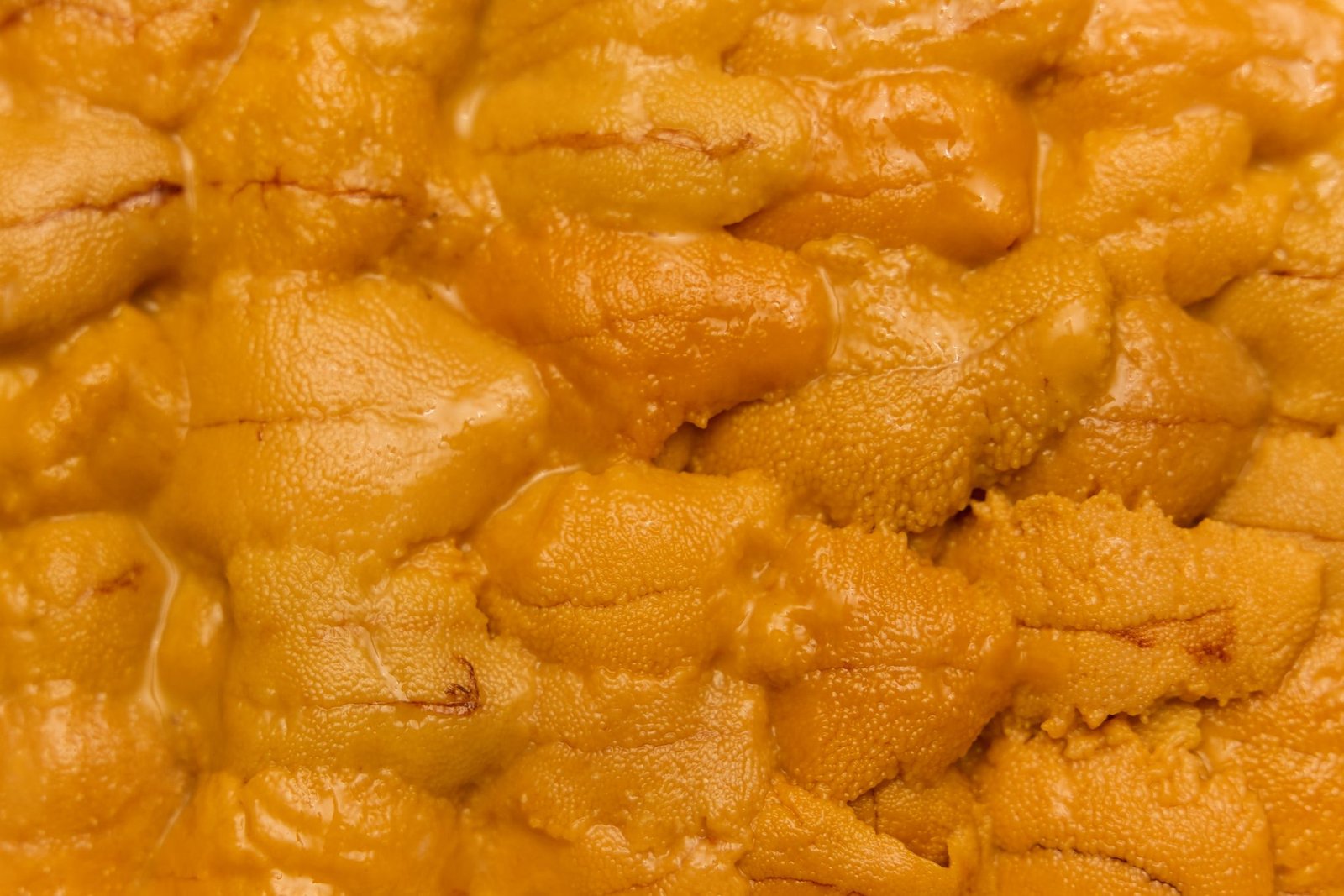 Santa Barbara uni, tray-graded